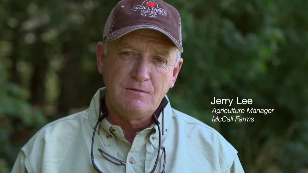 Jerry Lee, Agriculture Manager, McCall Farms