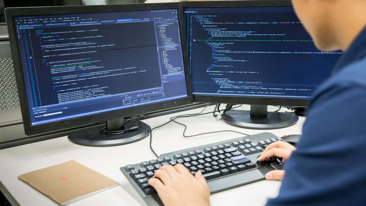 Liventus Web Application Development Man Coding